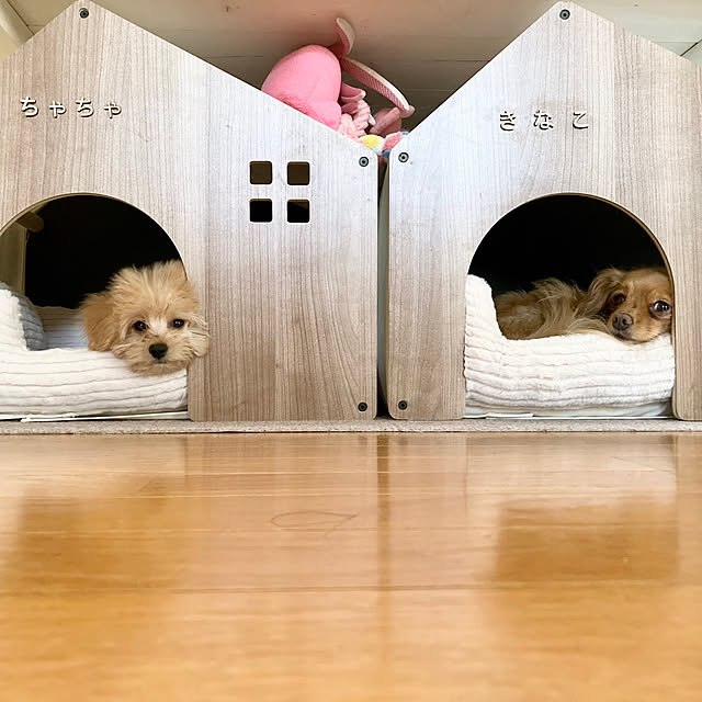 chachamamaさんの部屋
