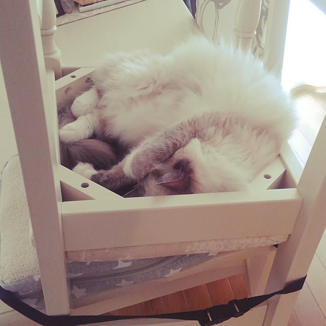 hannaさんの実例写真