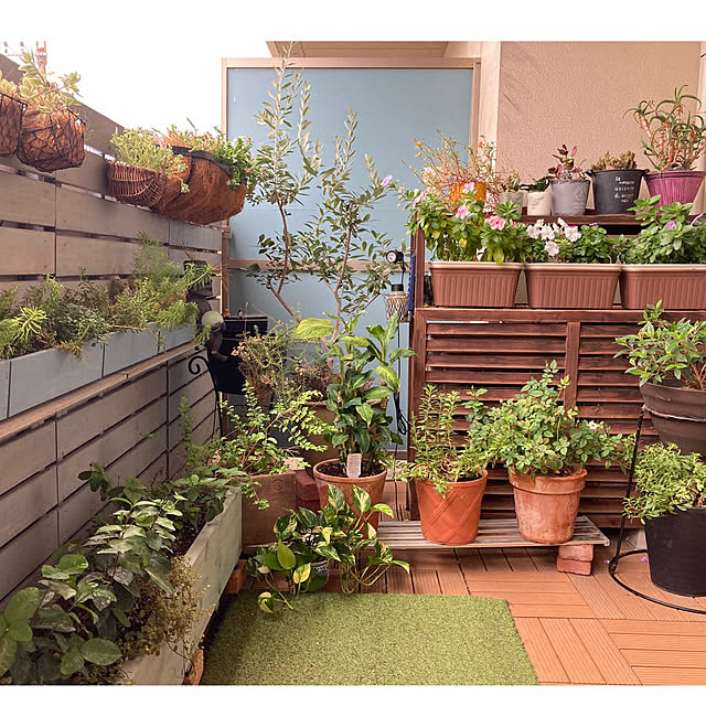 marukoさんの部屋