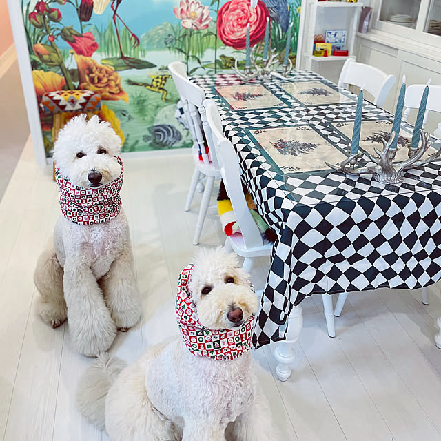 nackeyさんの部屋