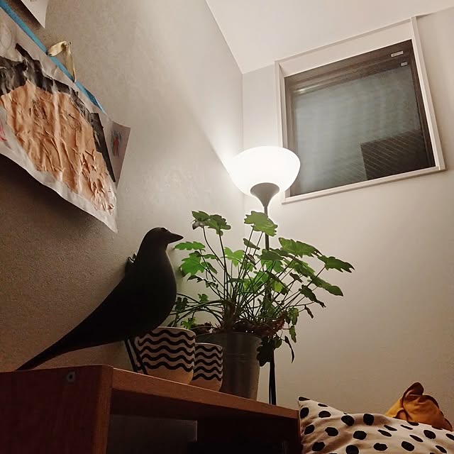 Ofukusanさんの部屋