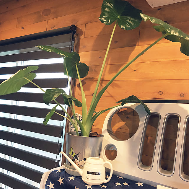 aki877さんの実例写真