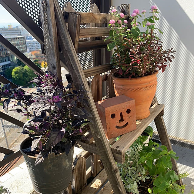 JUNさんの実例写真