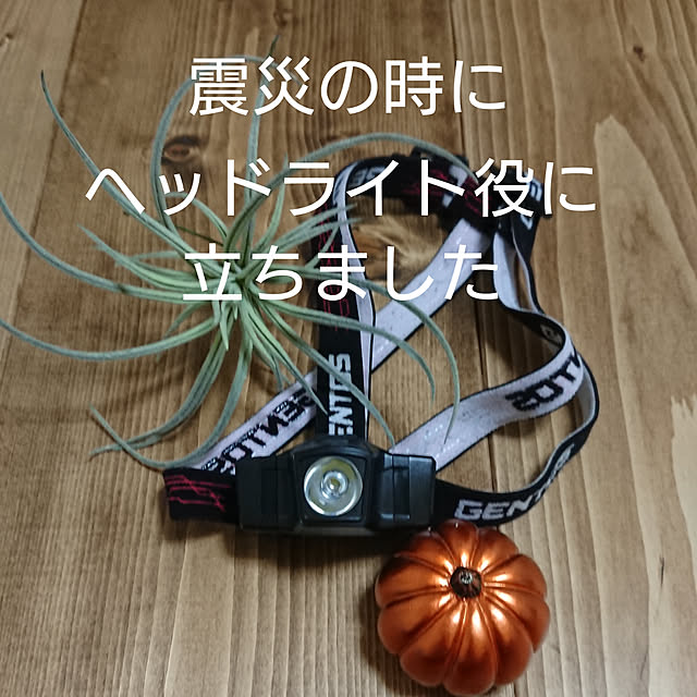 k.1003さんの実例写真