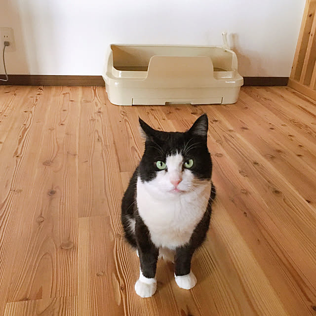 stripeblueさんの実例写真