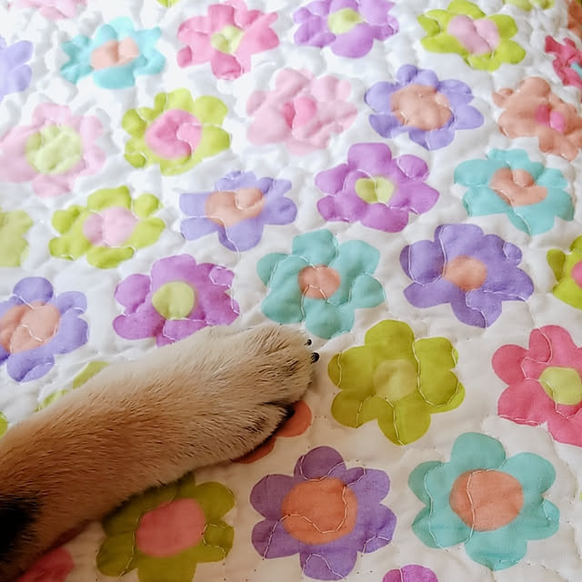 JUNさんの実例写真