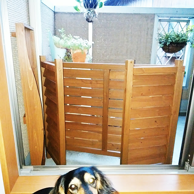 reonさんの実例写真