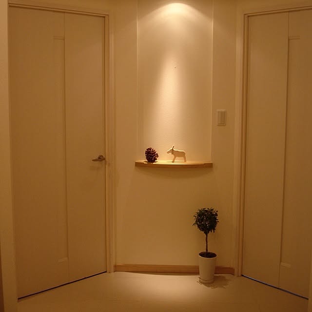 miumiuさんの実例写真