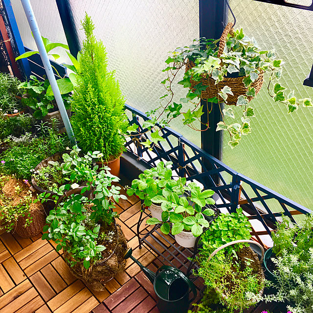 naokoさんの実例写真