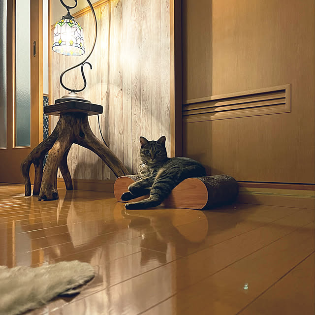 Mさんの実例写真