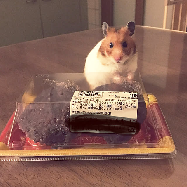 ohanaさんの実例写真