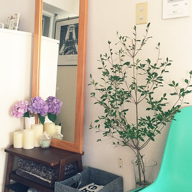 Hanaさんの実例写真