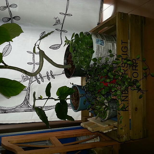 505さんの実例写真