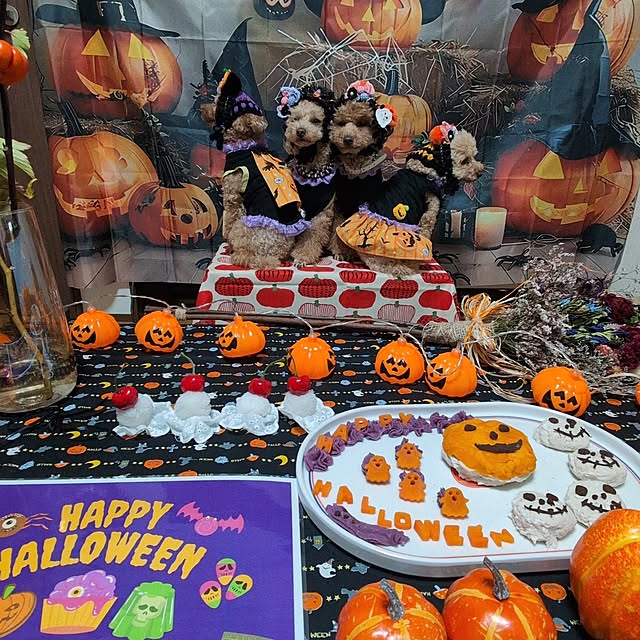 milk_hana_さんの実例写真