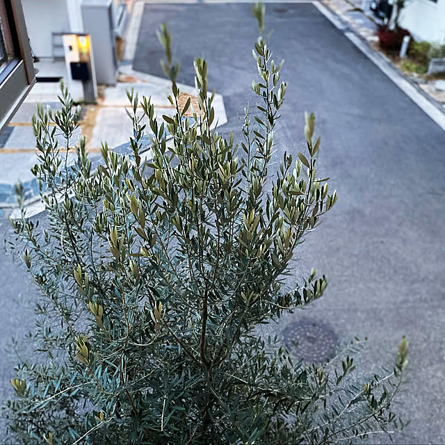 ryoさんの実例写真