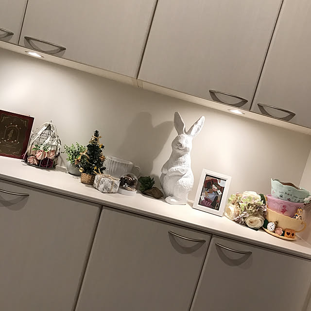 hiro_hiromiさんの実例写真