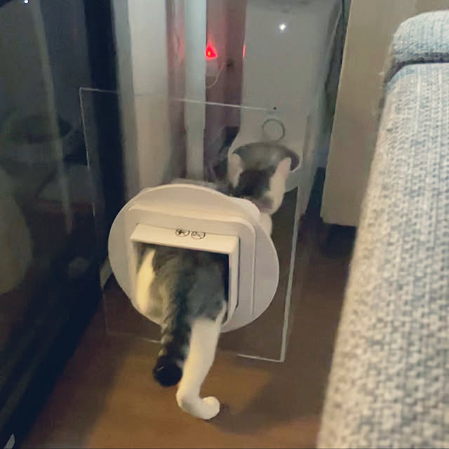 yakimuraさんの実例写真