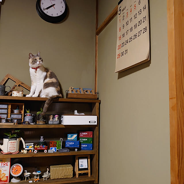 fukuさんの実例写真