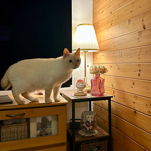 milkさんの部屋