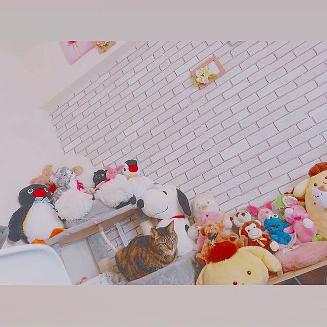 yumさんの実例写真