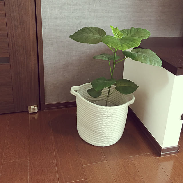 nagi-wさんの実例写真
