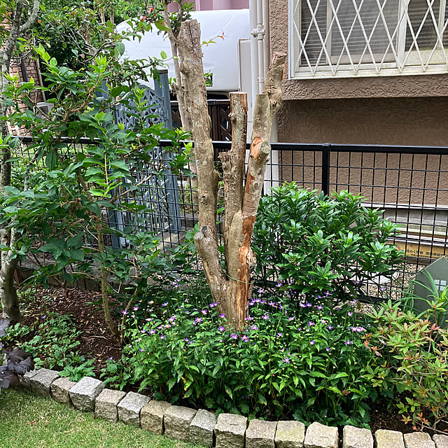 maron915さんの部屋