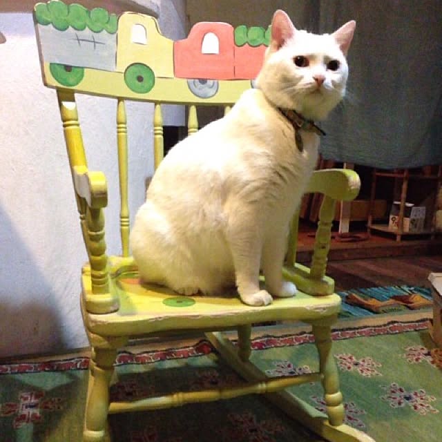 matatabi88さんの実例写真