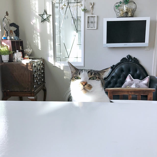 yuchiさんの実例写真