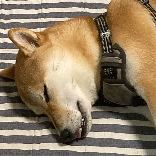luckyさんの実例写真