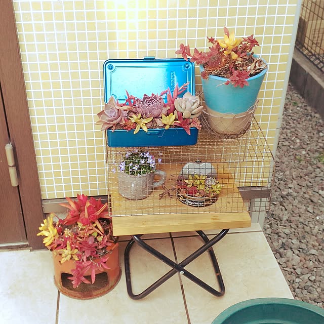 chiipinさんの実例写真