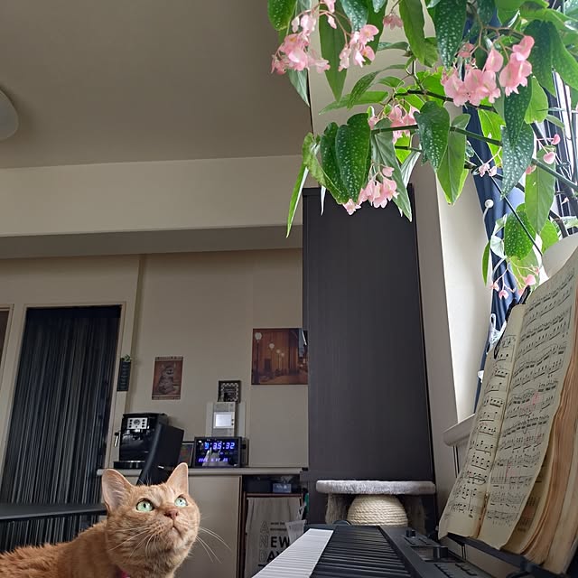 NOAHさんの実例写真