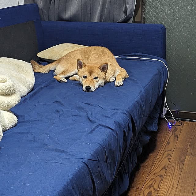 SLさんの実例写真
