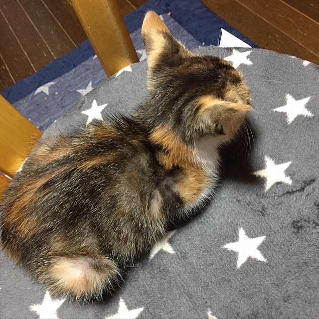 vivienne.coco-keiさんの実例写真