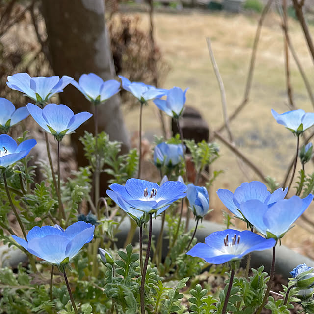 natsumiさんの部屋