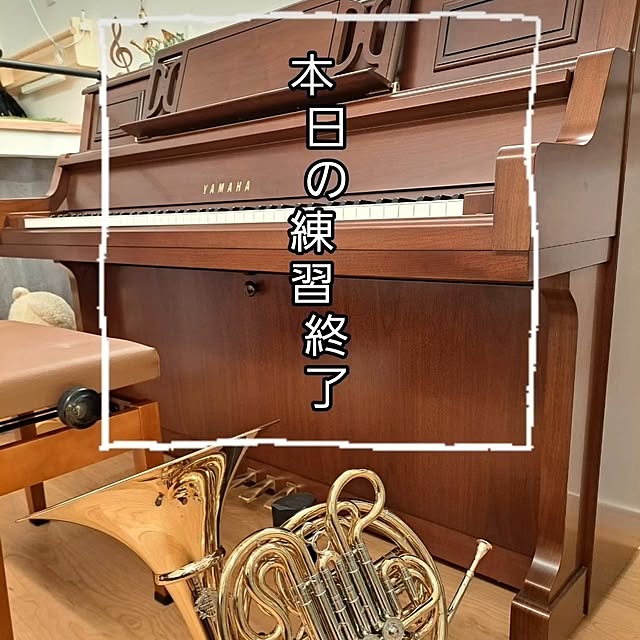 kankanmom_horn_5catsさんの部屋
