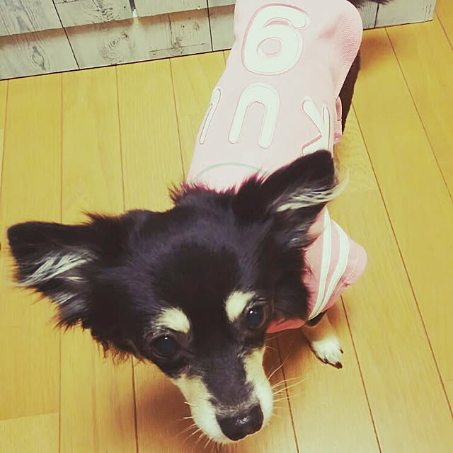 実例写真