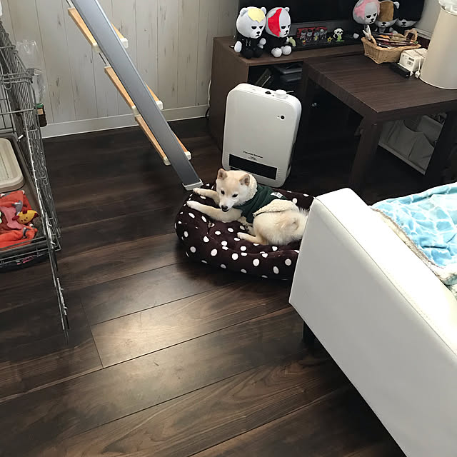 Nicoleさんの実例写真