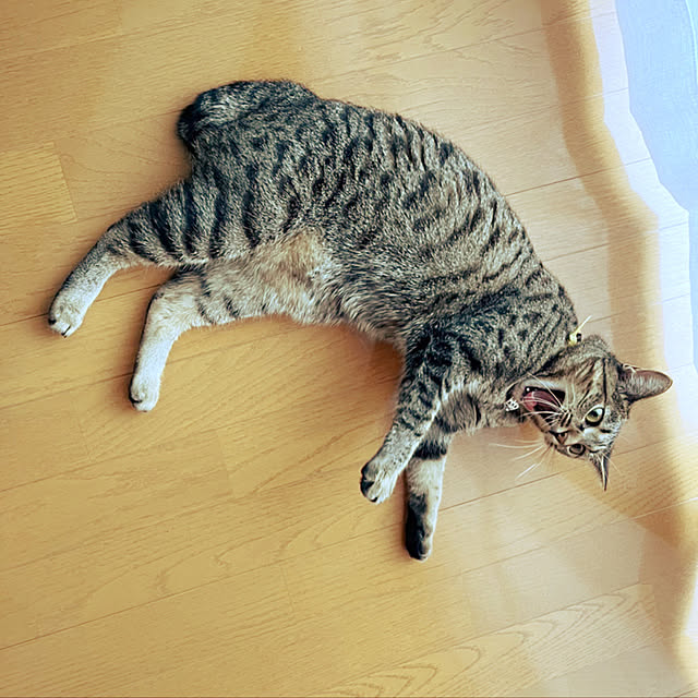 Mさんの実例写真