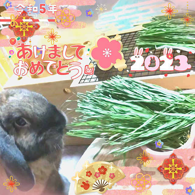 mariaさんの実例写真