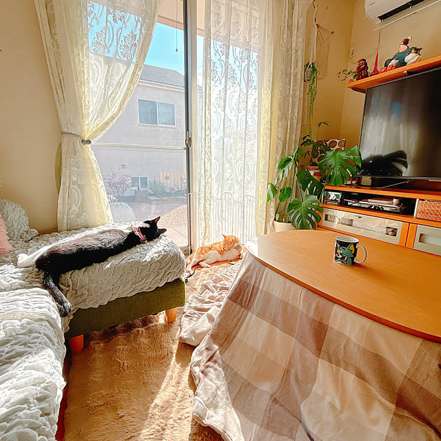 moolさんの実例写真