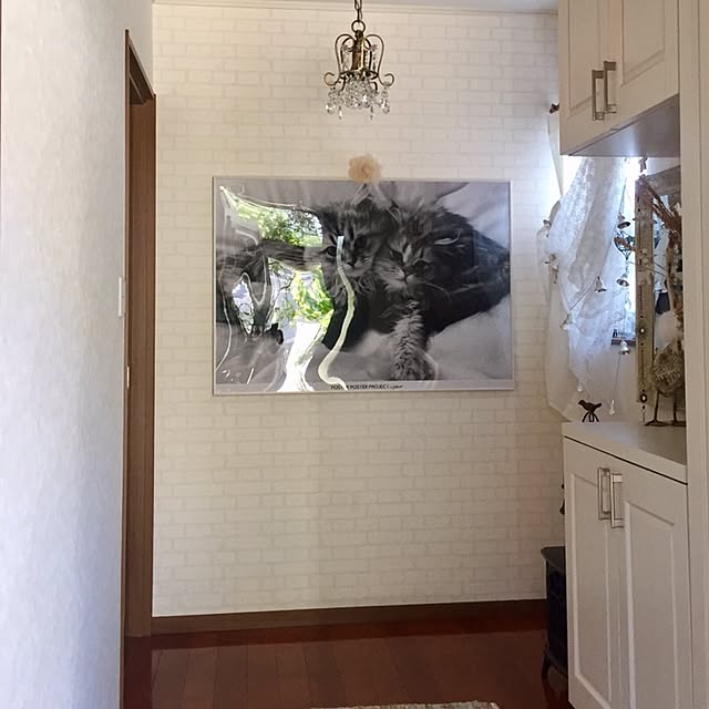 butachanさんの実例写真