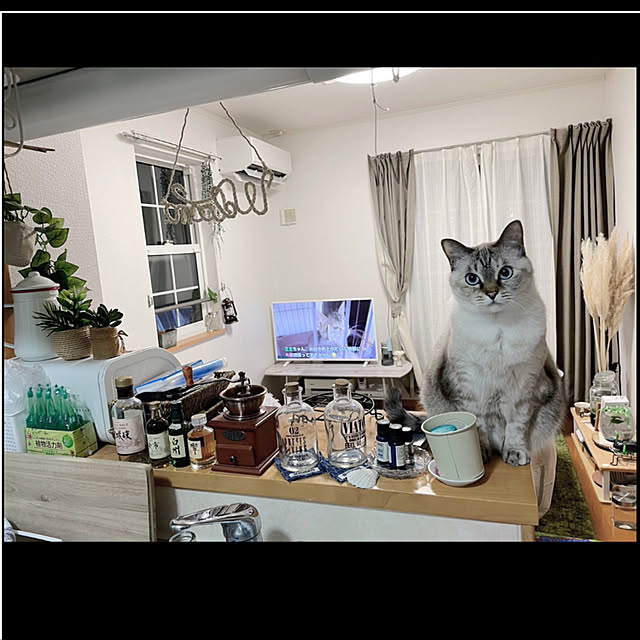 Ny77Coronさんの実例写真