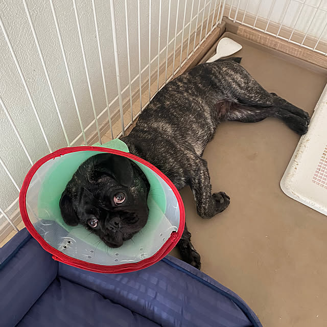 smileさんの部屋