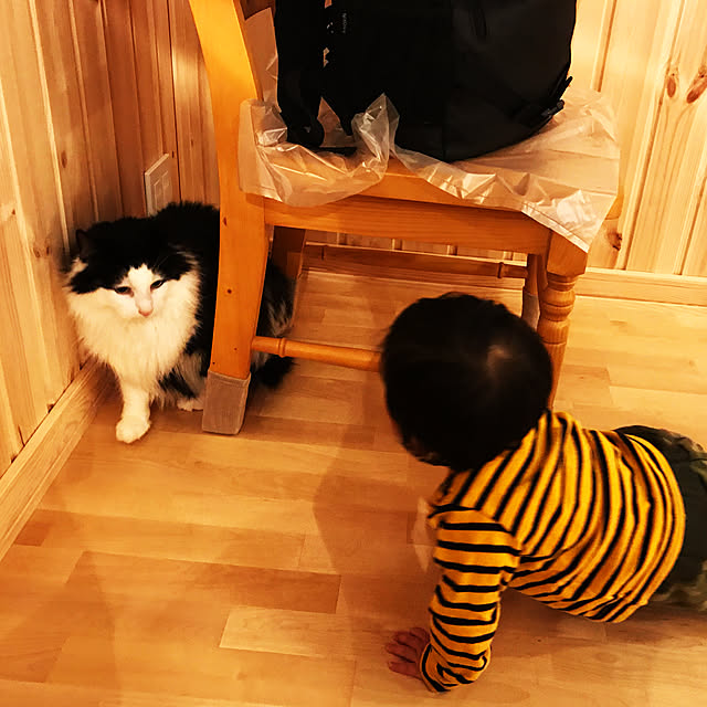 pppppさんの実例写真
