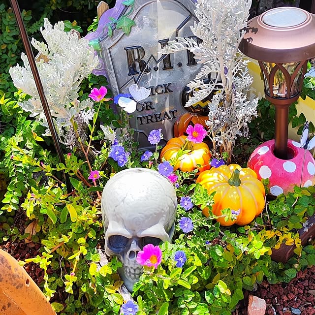 saayaさんの部屋