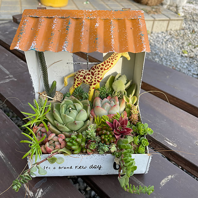 Peromiさんの実例写真