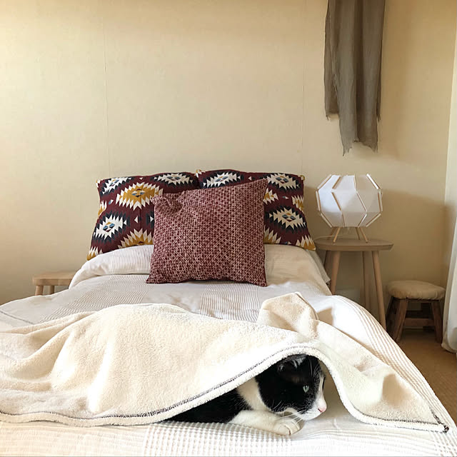 komachi55Nさんの実例写真