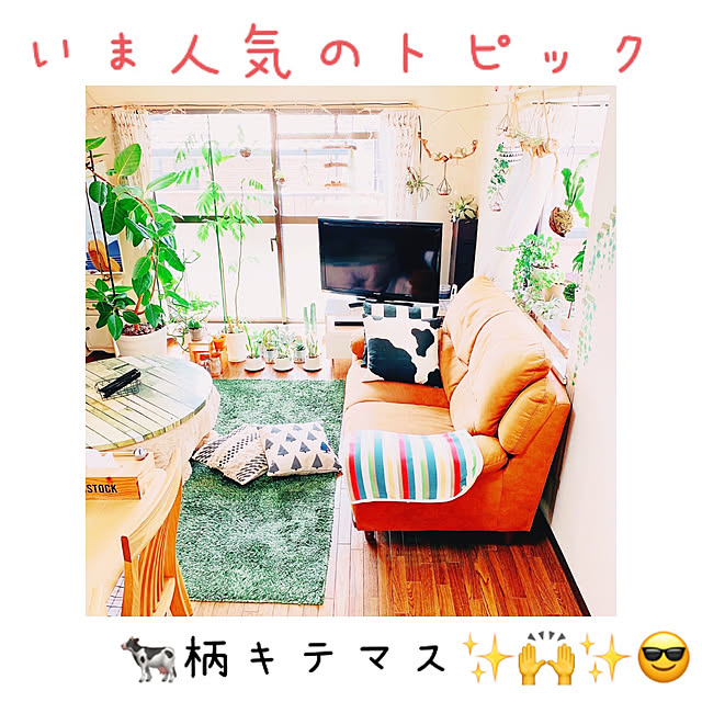 Llatte-usaさんの実例写真