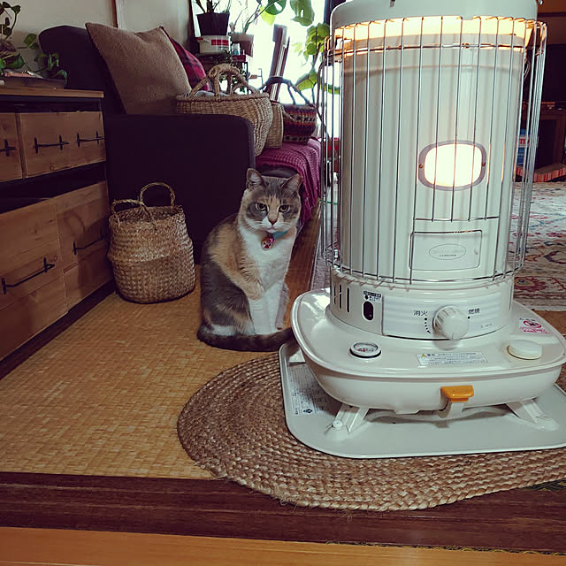 fukuさんの実例写真