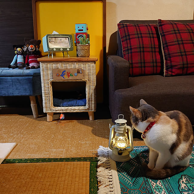 fukuさんの実例写真